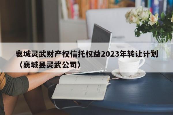 襄城灵武财产权信托权益2023年转让计划（襄城县灵武公司）