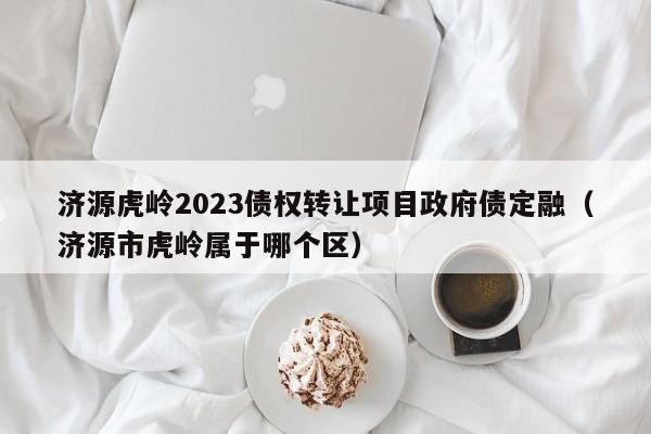 济源虎岭2023债权转让项目政府债定融（济源市虎岭属于哪个区）