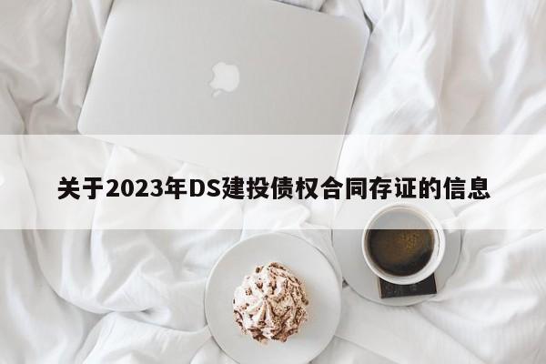 关于2023年DS建投债权合同存证的信息