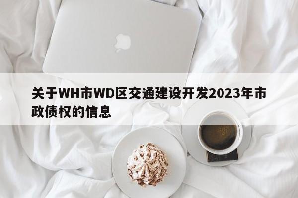 关于WH市WD区交通建设开发2023年市政债权的信息