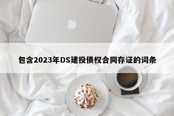 包含2023年DS建投债权合同存证的词条