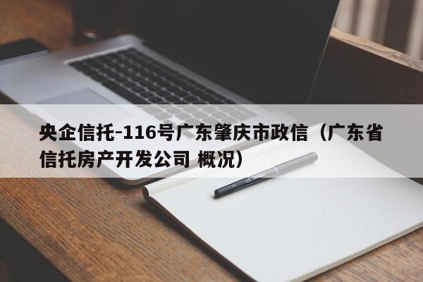 央企信托-116号广东肇庆市政信（广东省信托房产开发公司 概况）