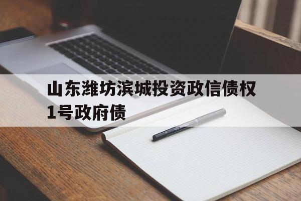 山东潍坊滨城投资政信债权1号政府债(潍坊滨海国投债权资产)