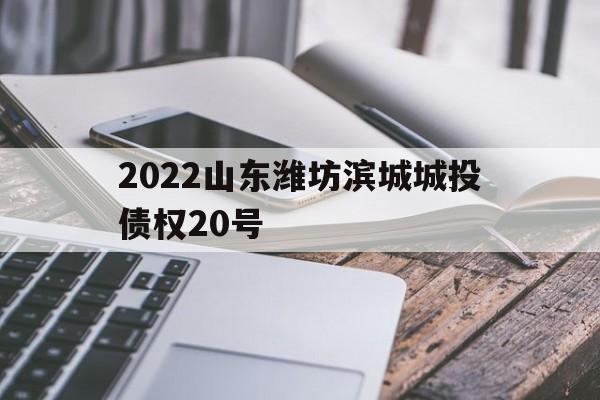 2022山东潍坊滨城城投债权20号(山东省卫生健康委员会)