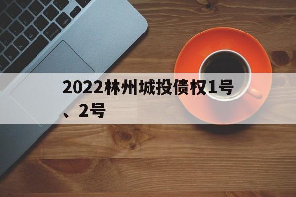 2022林州城投债权1号、2号(林州2021最新建设规划)