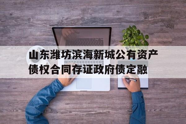 山东潍坊滨海新城公有资产债权合同存证政府债定融(用存款支付固定资产租赁费)