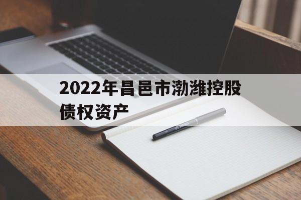 2022年昌邑市渤潍控股债权资产(学校资产情况说明怎么写)