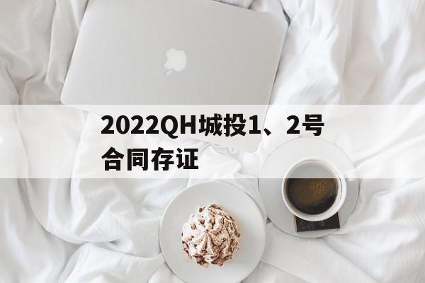 2022QH城投1、2号合同存证(怎么查自己签的电子合同)