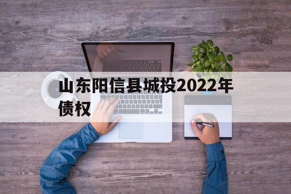 山东阳信县城投2022年债权(城投公司土地出让)