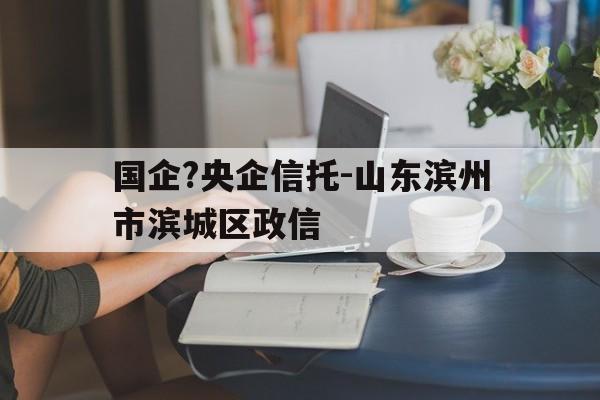 国企?央企信托-山东滨州市滨城区政信(滨海信托公司)