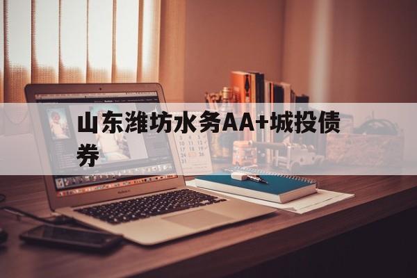 山东潍坊水务AA+城投债券(潍坊水务投资有限责任公司官网)