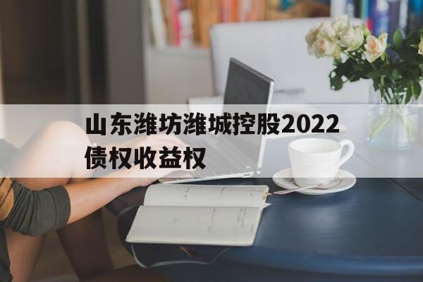 山东潍坊潍城控股2022债权收益权(潍坊滨城投资债权)