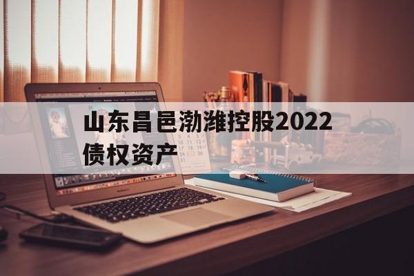 山东昌邑渤潍控股2022债权资产(资产评估师难考吗)