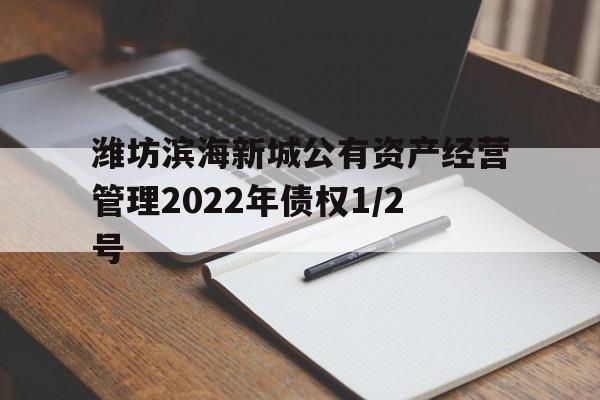 潍坊滨海新城公有资产经营管理2022年债权1/2号(债权转让合同纠纷)