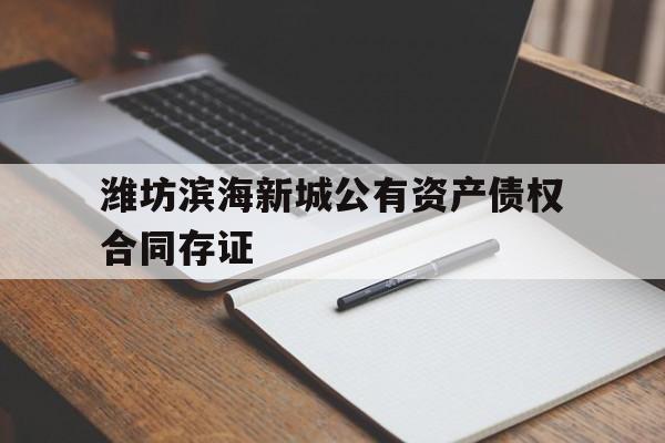 潍坊滨海新城公有资产债权合同存证(标准化债权资产保本)