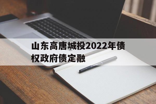 包含山东高唐城投2022年债权政府债定融的词条