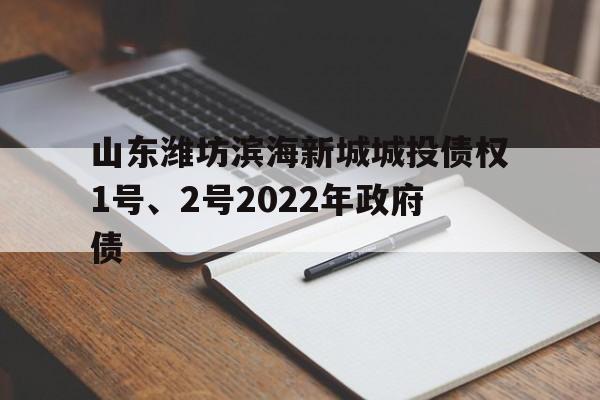 山东潍坊滨海新城城投债权1号、2号2022年政府债(潍坊滨海能发展起来吗)