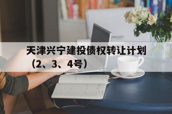 天津兴宁建投债权转让计划（2、3、4号）(债权转让的车能过户吗)