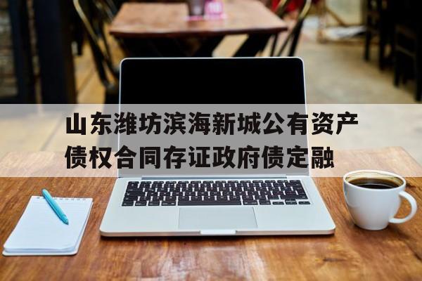 山东潍坊滨海新城公有资产债权合同存证政府债定融(政府的贫困证明怎么写)