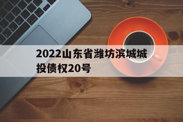 2022山东省潍坊滨城城投债权20号(潍坊滨城投资发债)