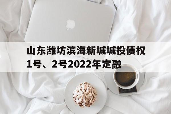 山东潍坊滨海新城城投债权1号、2号2022年定融(注定纠缠水瓶的星座)