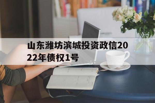 山东潍坊滨城投资政信2022年债权1号(2022年遗属待遇公示)