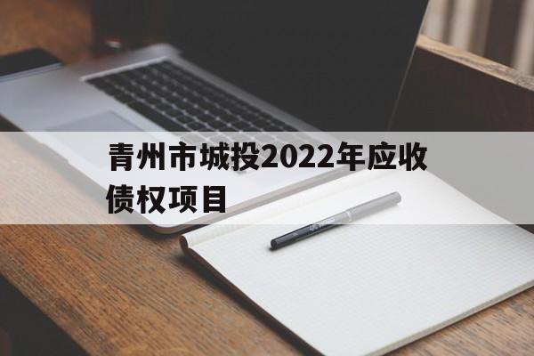 青州市城投2022年应收债权项目(山东青州城投)