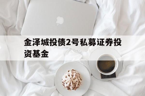 金泽城投债2号私募证券投资基金(泽源2号私募证券基金)
