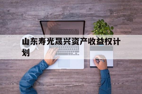 山东寿光晟兴资产收益权计划(晟兴到家加盟费多少)