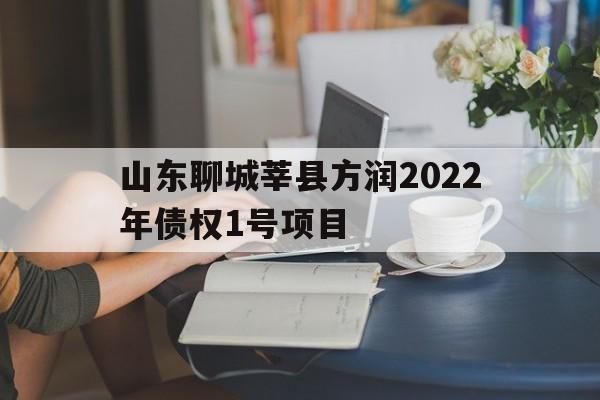 关于山东聊城莘县方润2022年债权1号项目的信息