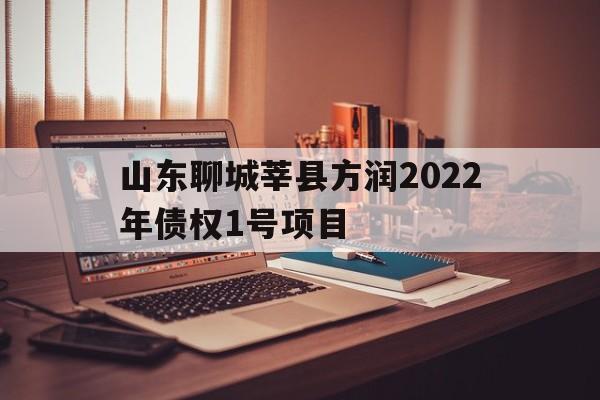 山东聊城莘县方润2022年债权1号项目的简单介绍