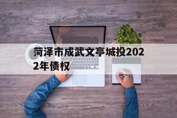 菏泽市成武文亭城投2022年债权(山东菏泽成武最新规划)