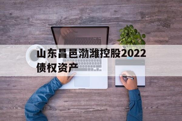 山东昌邑渤潍控股2022债权资产(资产评估报名2022)