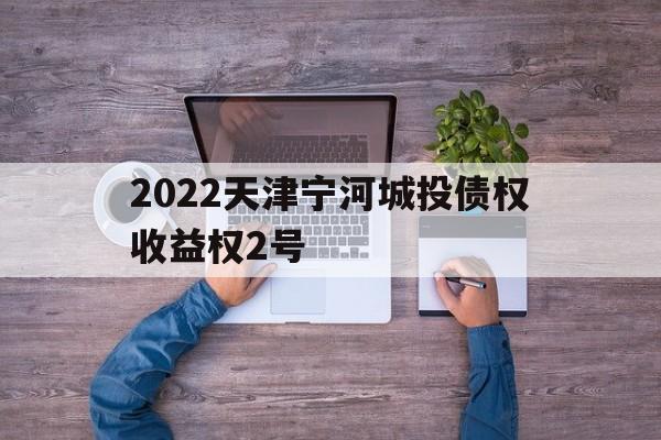 2022天津宁河城投债权收益权2号(2022天津宁河城投债权收益权1号发行时间)