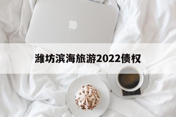 潍坊滨海旅游2022债权(潍坊滨海2021年规划)