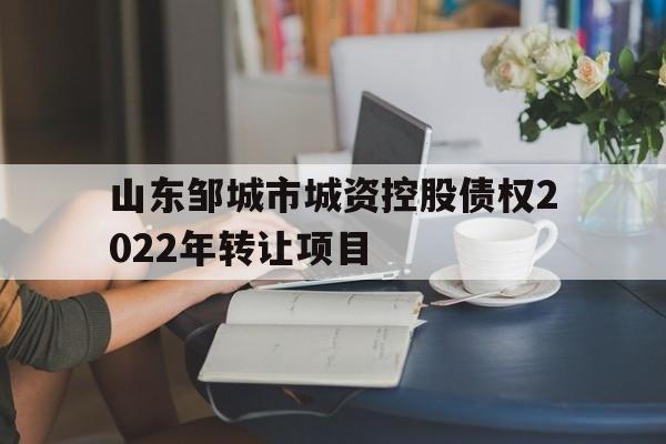 山东邹城市城资控股债权2022年转让项目(邹城市法院诉讼资产网2020)