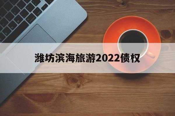 潍坊滨海旅游2022债权(潍坊滨海旅游投资有限公司)