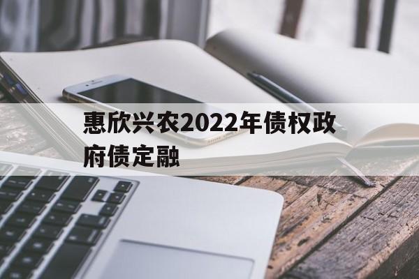 包含惠欣兴农2022年债权政府债定融的词条