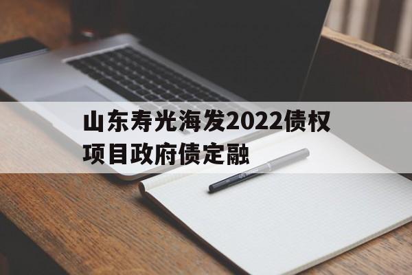 山东寿光海发2022债权项目政府债定融(被疯批们日夜浇罐po七酱)