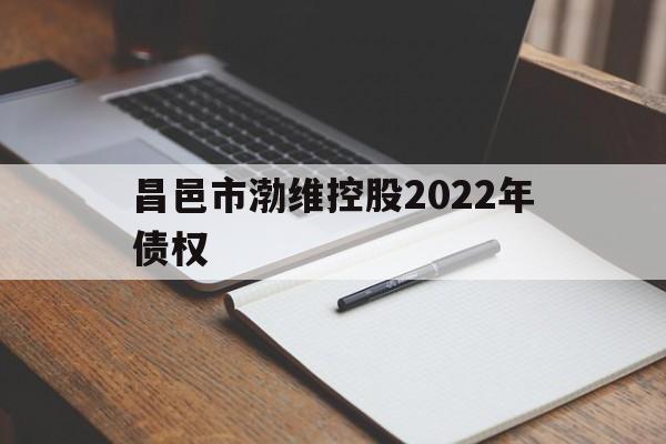 昌邑市渤维控股2022年债权(魏桥创业集团总资产)