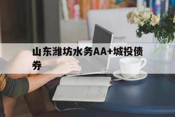 山东潍坊水务AA+城投债券(潍坊水务债券违约)