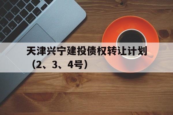 天津兴宁建投债权转让计划（2、3、4号）(债权转让车被车主开回)