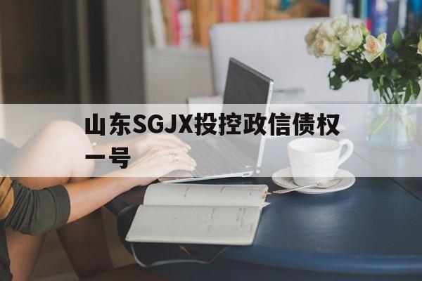 山东SGJX投控政信债权一号的简单介绍