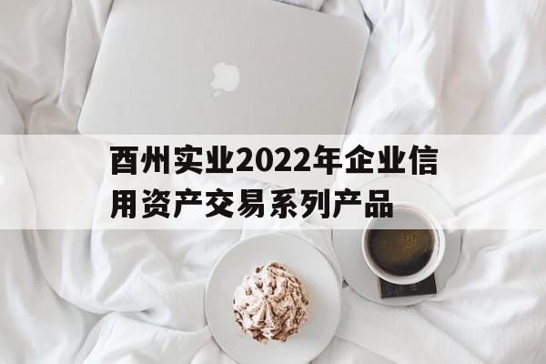 酉州实业2022年企业信用资产交易系列产品(工商网站查询企业信息)