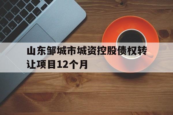 山东邹城市城资控股债权转让项目12个月(邹城土地成交公示)