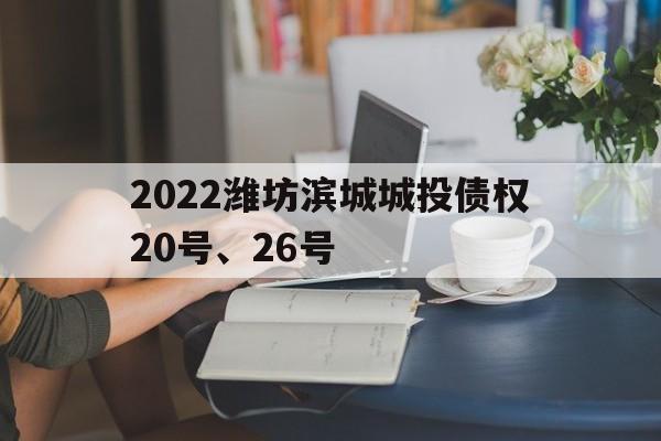 2022潍坊滨城城投债权20号、26号(潍坊滨海新城公有2021定融)