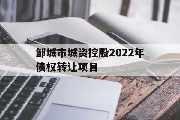 邹城市城资控股2022年债权转让项目(邹城市城资控股2022年债权转让项目公告)