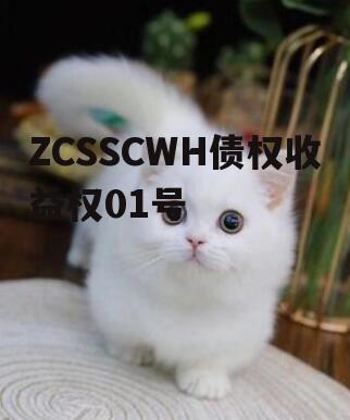 ZCSSCWH债权收益权01号