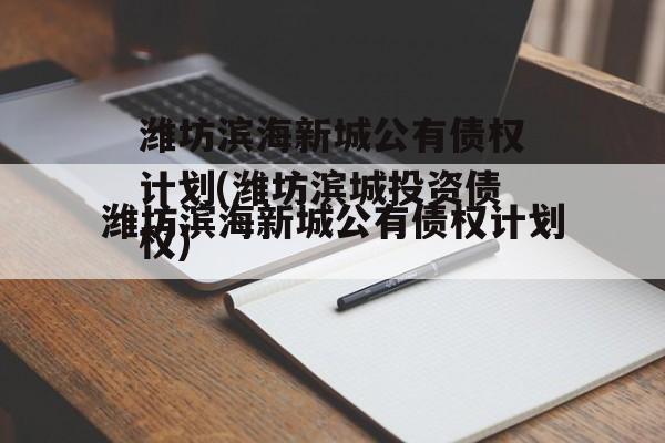 潍坊滨海新城公有债权计划(潍坊滨城投资债权)