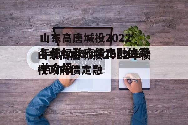 山东高唐城投2022年债权政府债定融的简单介绍